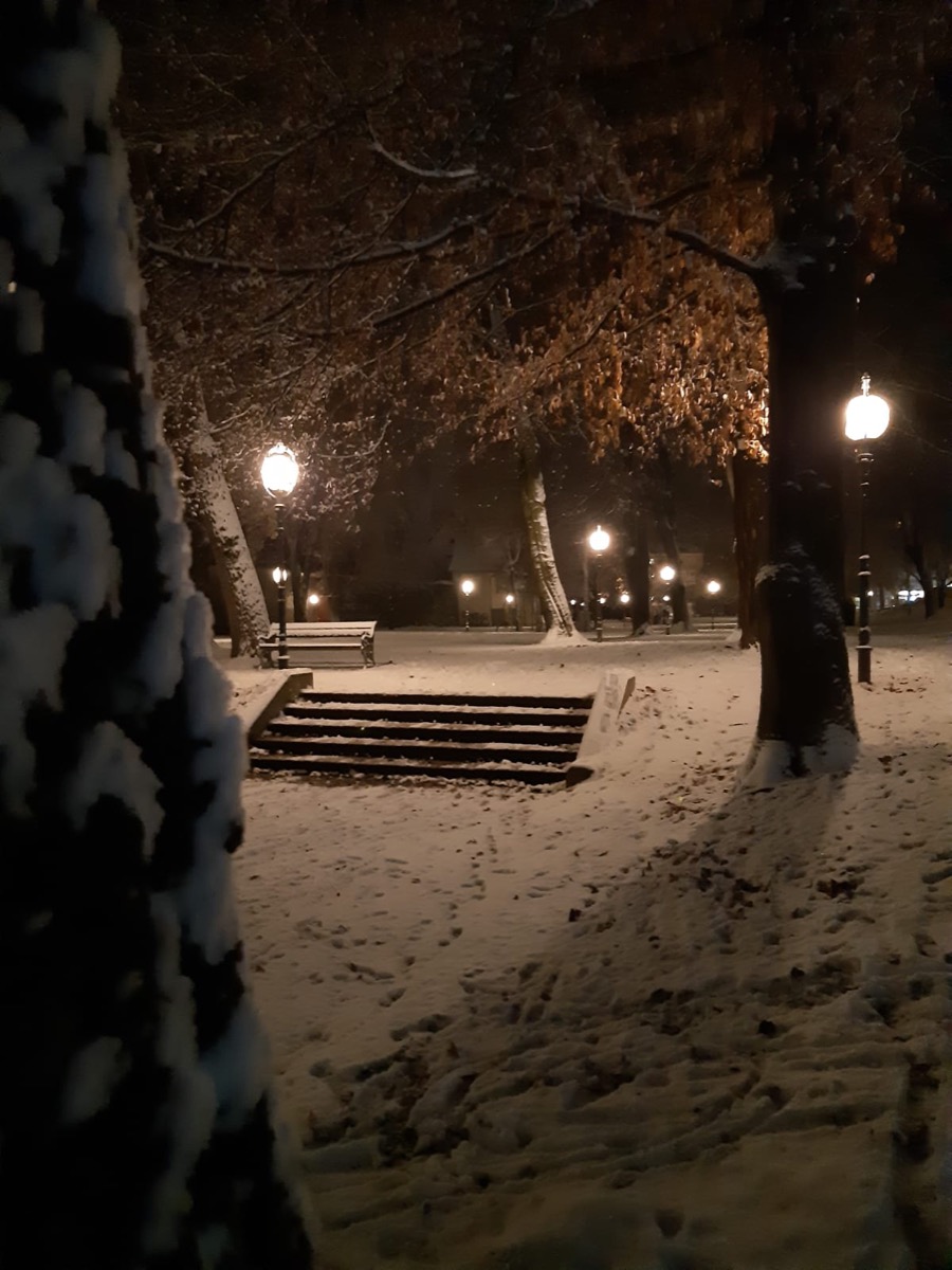 Outdoor park and landscape lighting by Eleos Electric